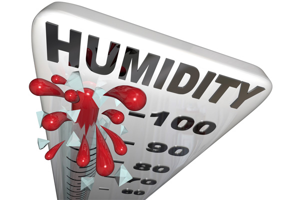 high level of humidity