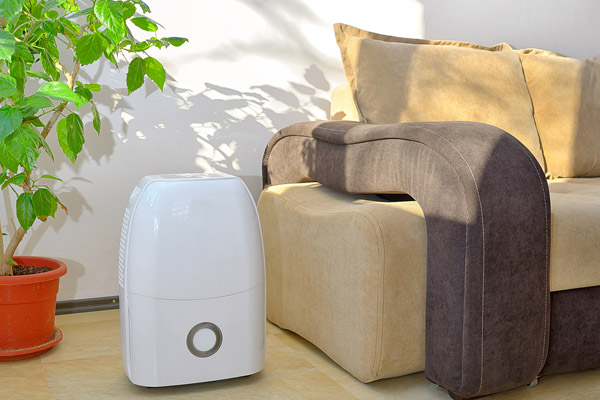 image of a portable dehumidifier